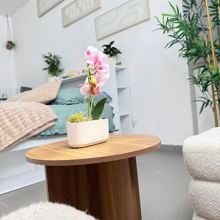 Le Jardin Secret - Lumineux Apartment