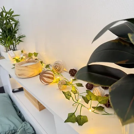 Le Jardin Secret - Lumineux Le Havre